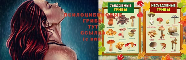 прущая мука Арсеньев